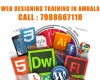 Wordpress Course in Ambala