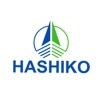 Hashiko Electric Car Showroom