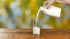 Organic Milk Chennai