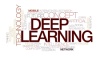 Deep Learning Training